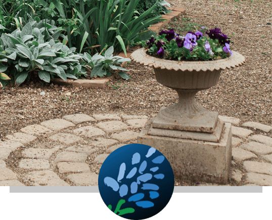 Bluebonnet Landscape Creations